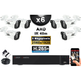 KIT PRO AHD 6 Caméras Tubes IR 40m Capteur SONY 5 MegaPixels + Enregistreur XVR 8MP H265+ 2000 Go / Pack de vidéo surveillance