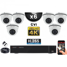 KIT PRO CVI 6 Caméras Dômes IR 35m 8 MegaPixels UHD 4K + Enregistreur CVI 8MP H264+ 2000 Go / Pack de vidéo surveillance