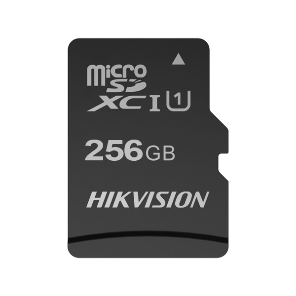 Carte mémoire microSD 256 GB HIKVISION